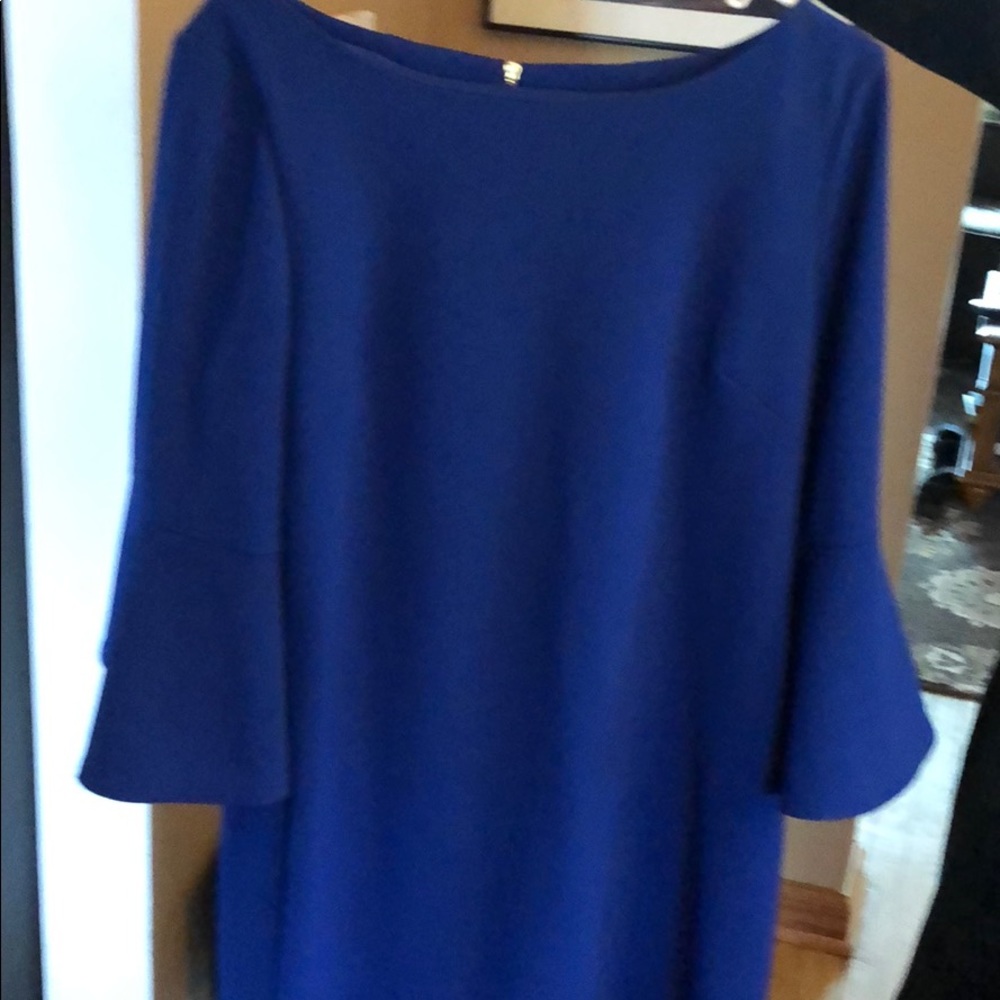 Blue Sheath with bell sleeves